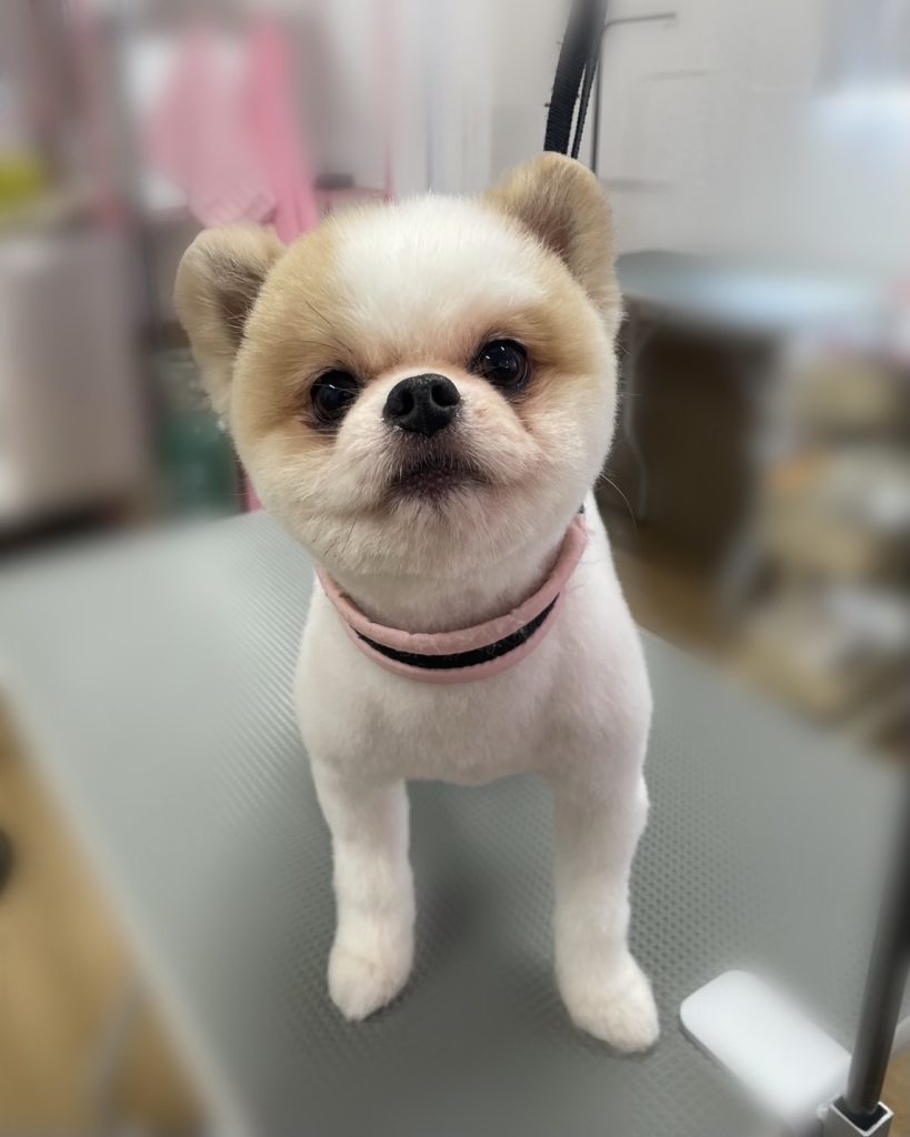 想空くん