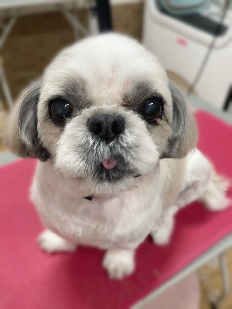 たっくん