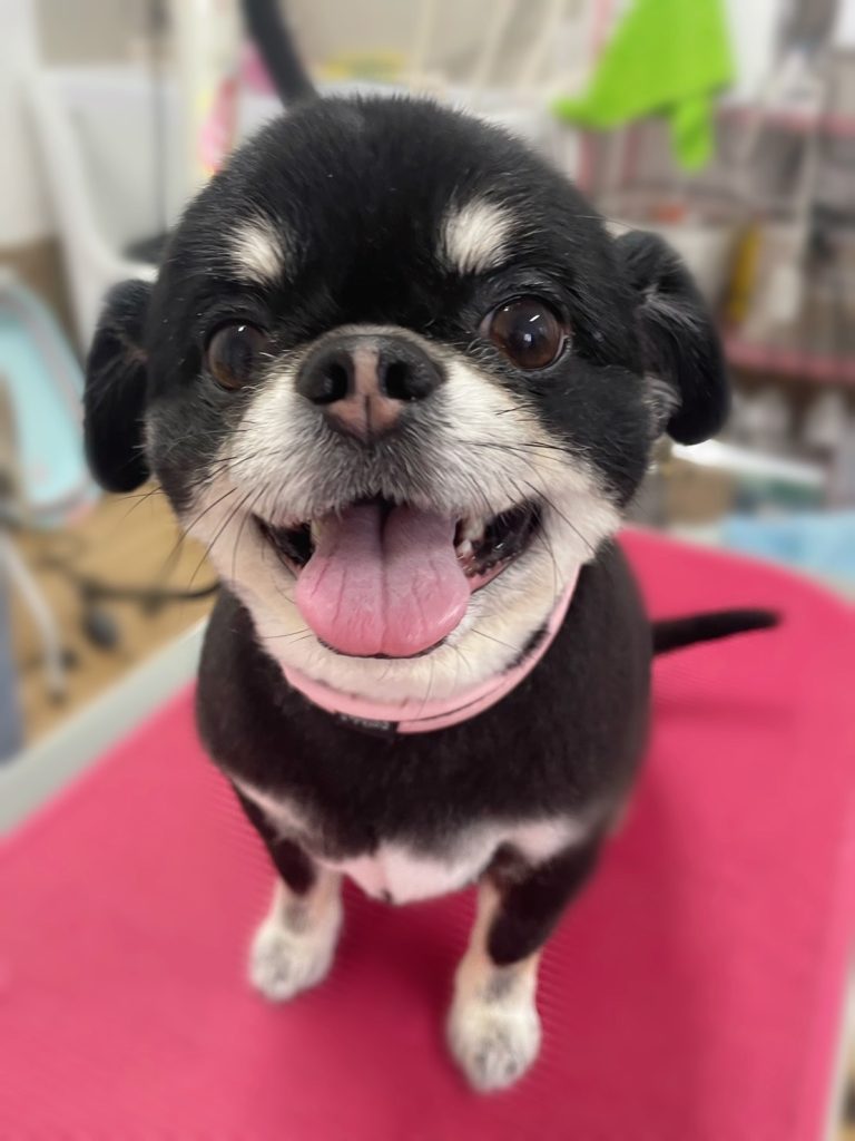ちろちゃん