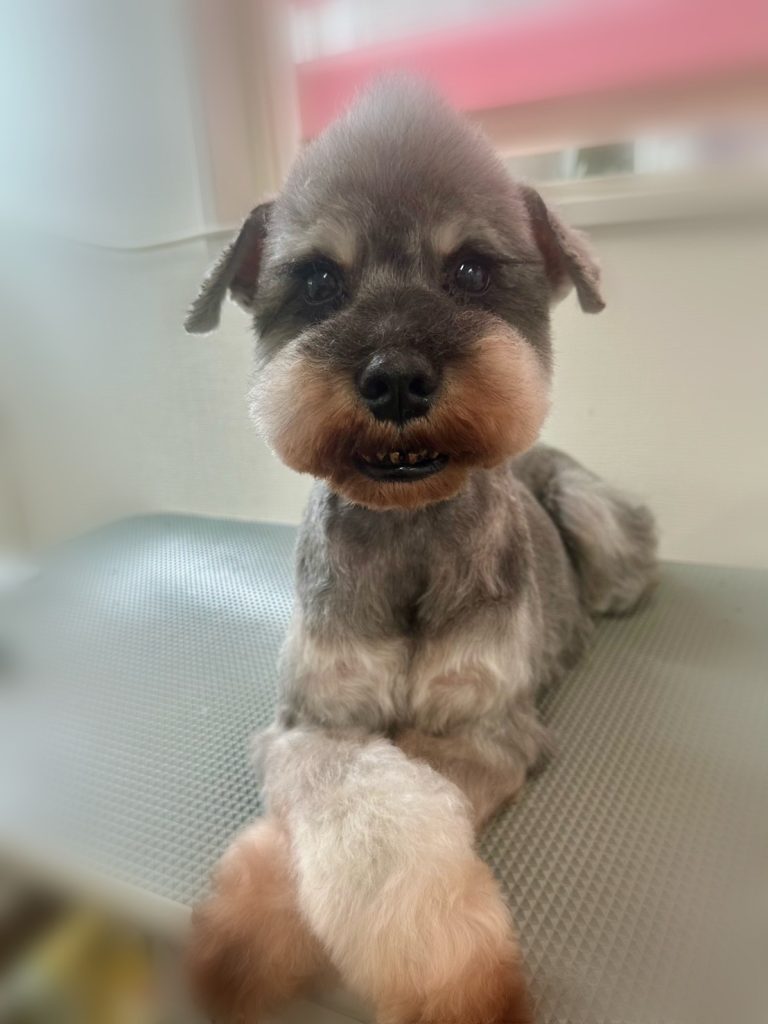 つくしくん