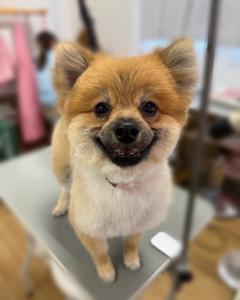 どんぐりくん