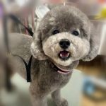 ふぇ1.jpeg