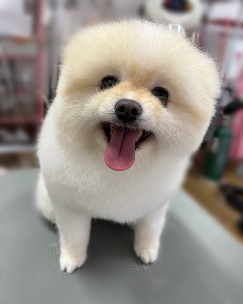 まるちゃん