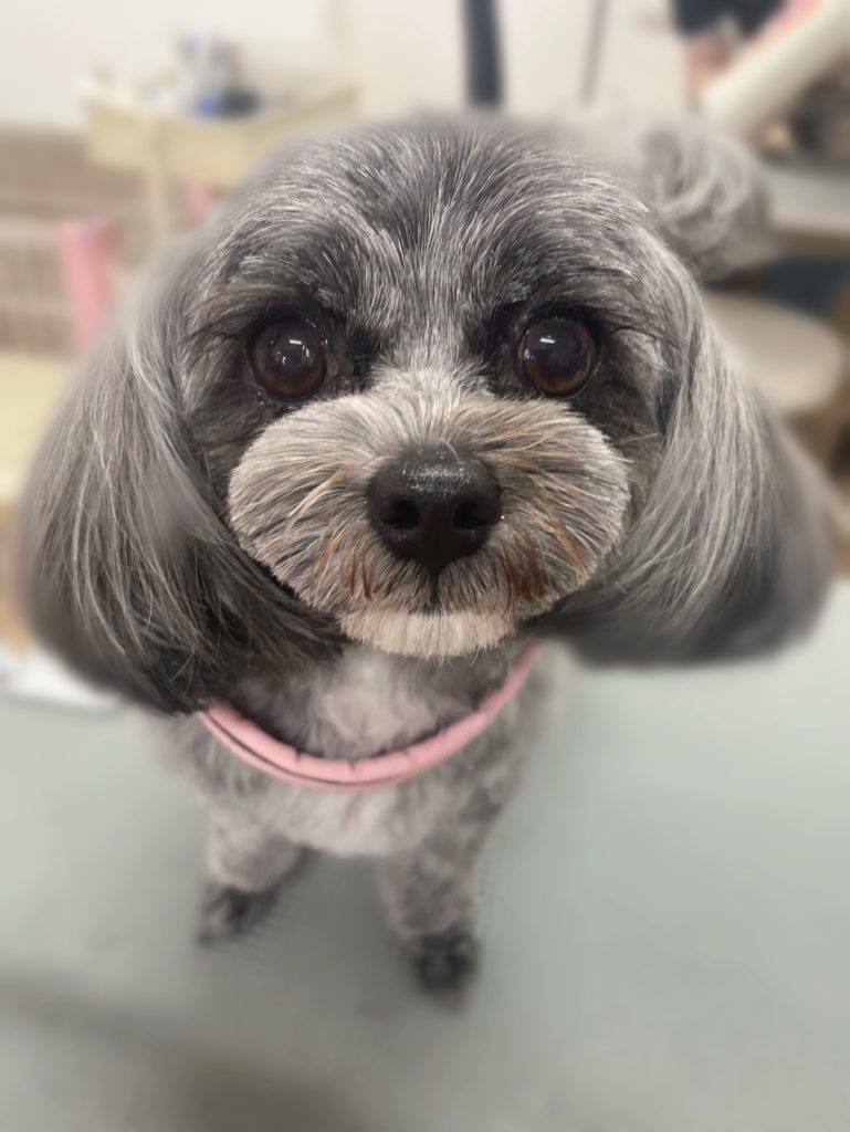 まるちゃん