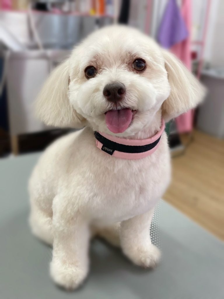 麦くん