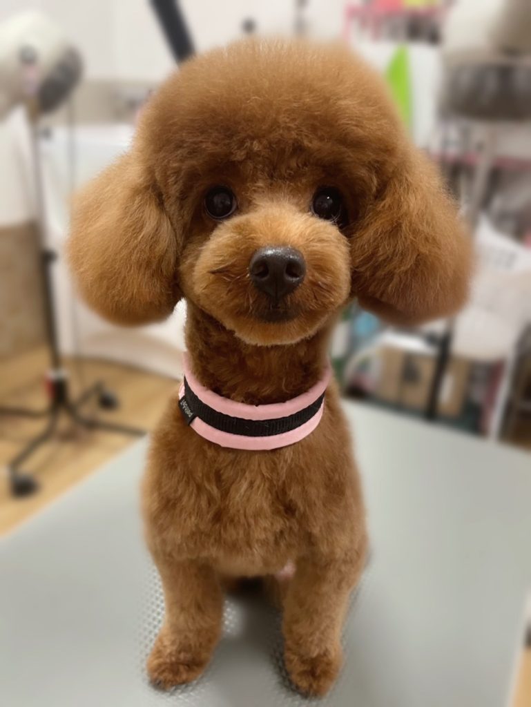 むぎちゃん