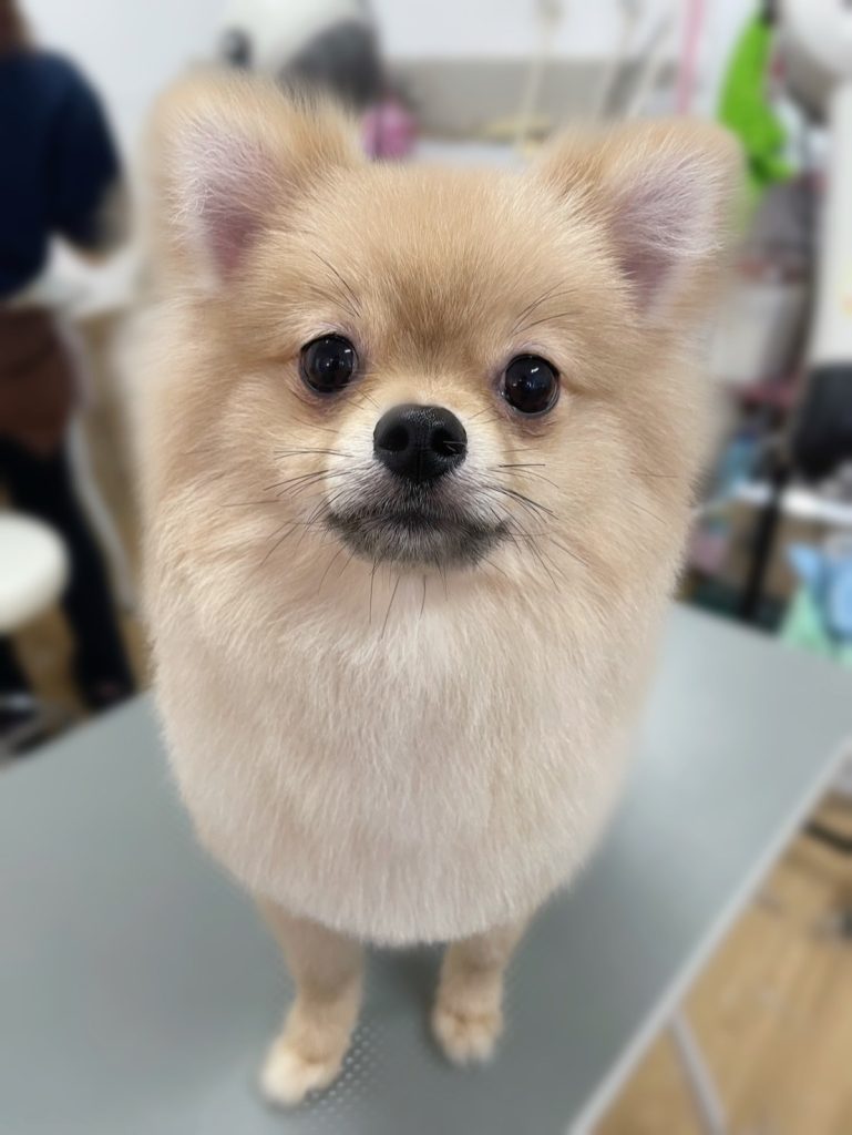 よいくん