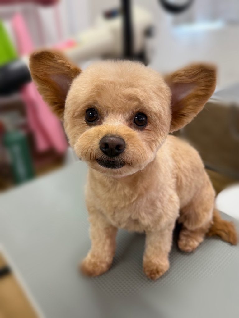 ラキくん