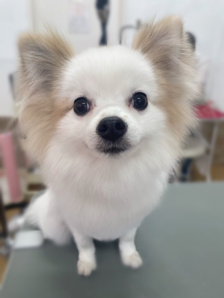 らいむくん