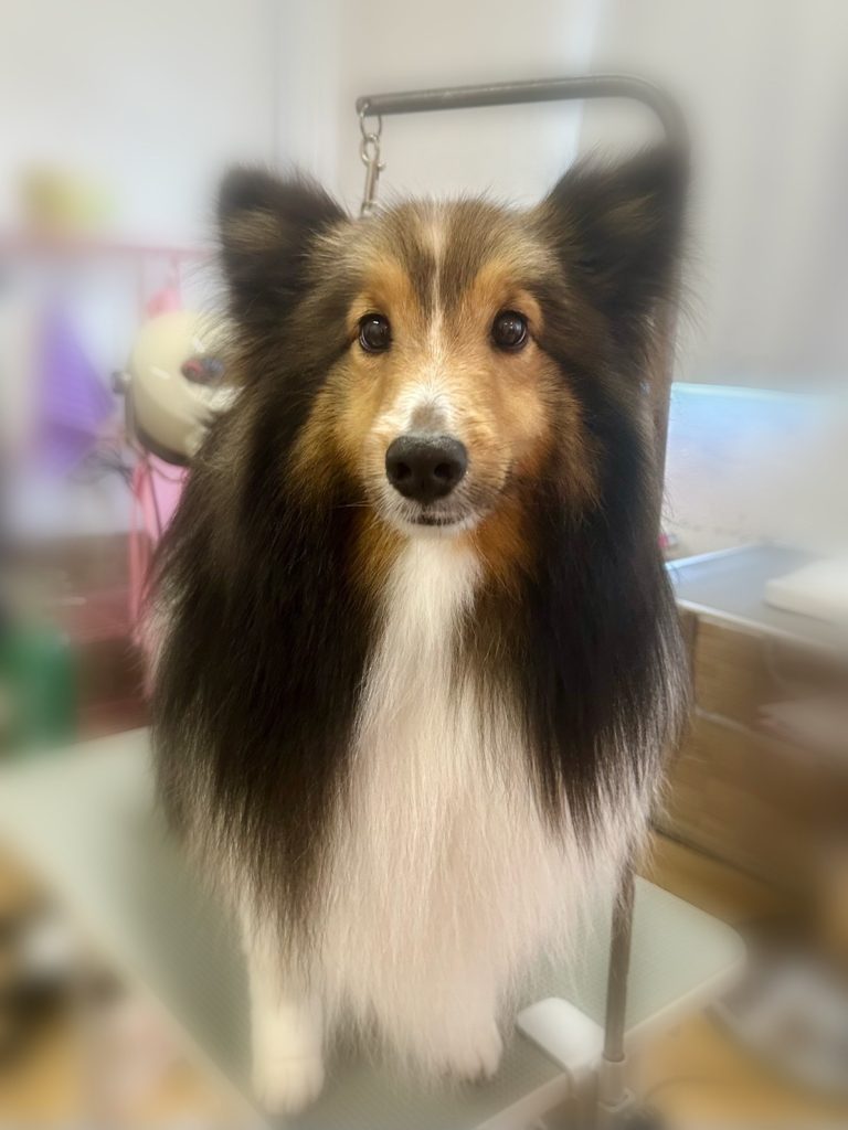 ルイくん