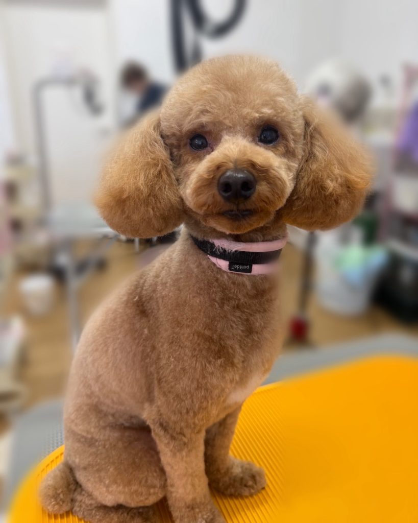 レンくん