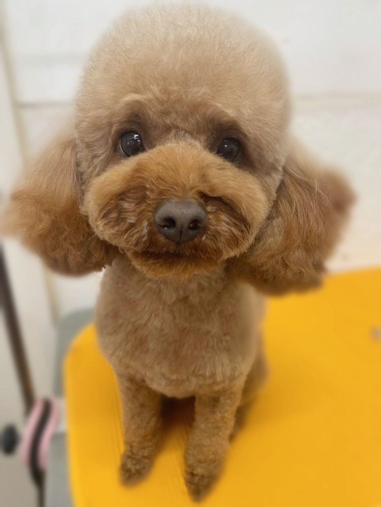 心晴ちゃん