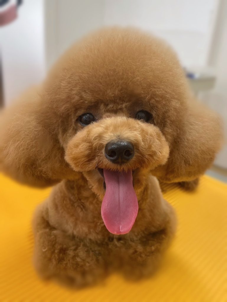 藍くん