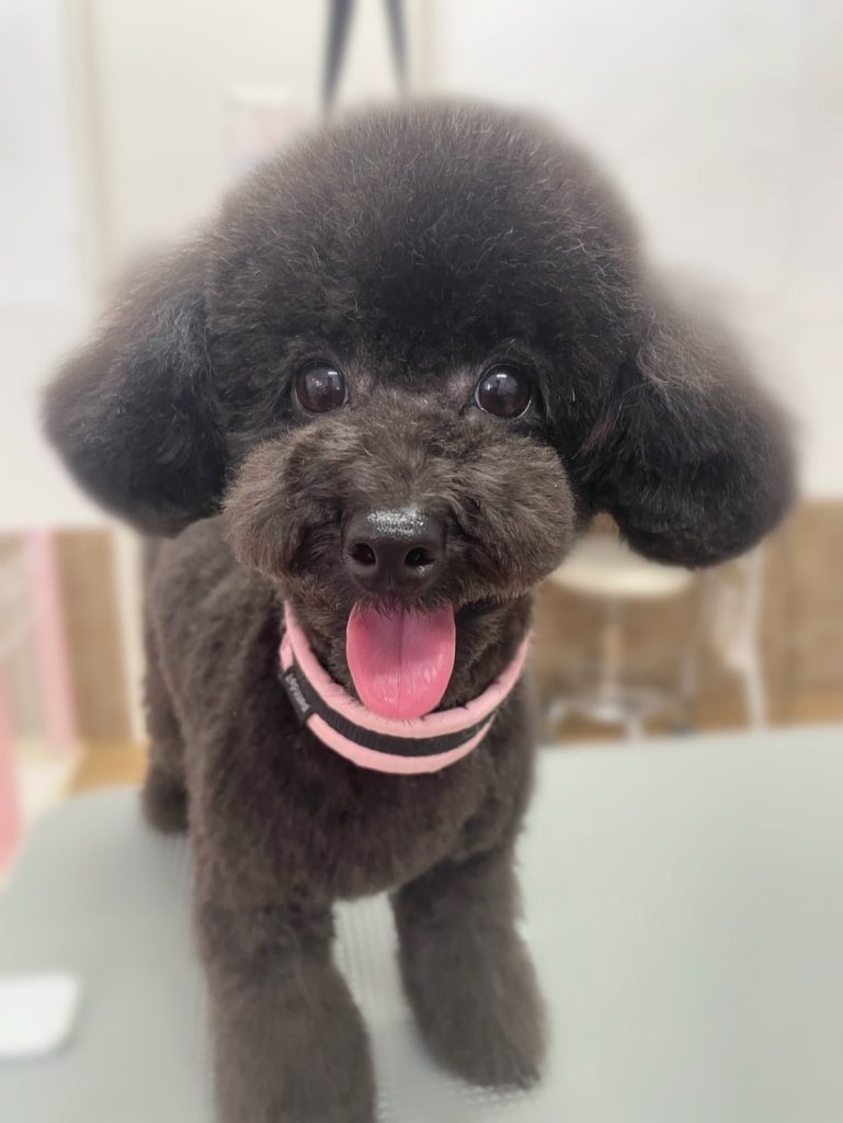 エマちゃん