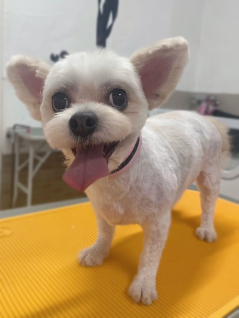 かんたろうくん