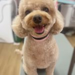 こ3.jpeg