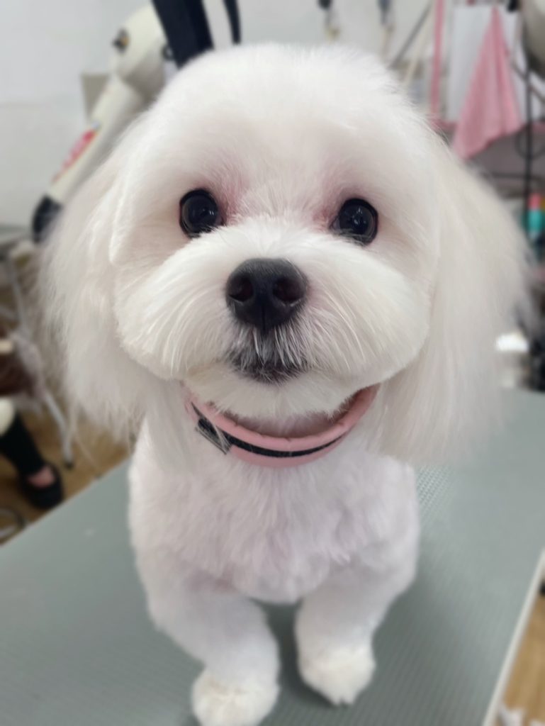 そらくん