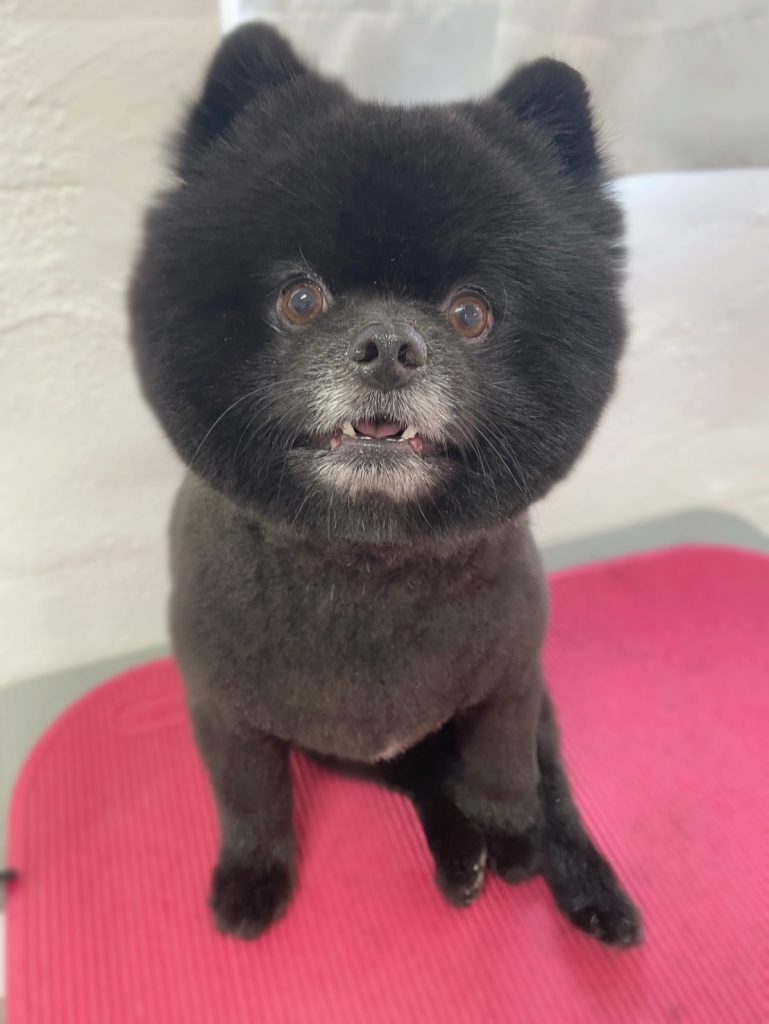 つきくん