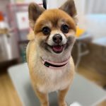 てるみちゃん