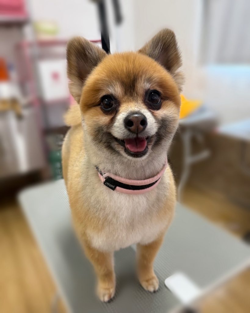 てるみちゃん
