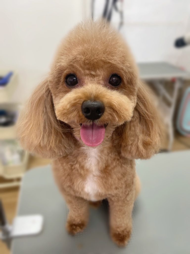 はちくん