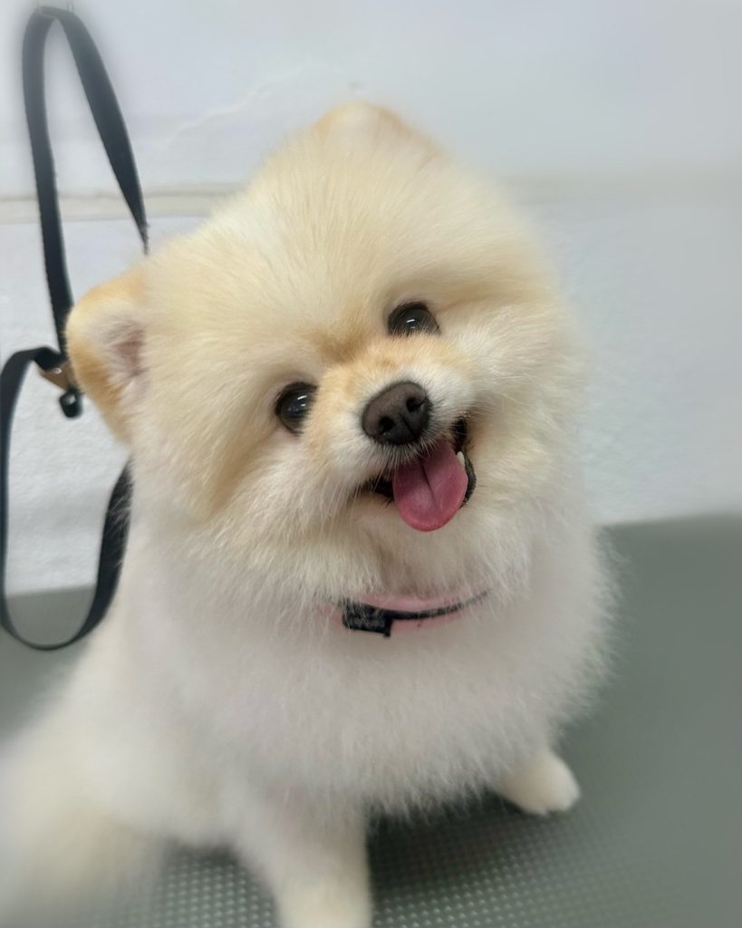 まるちゃん
