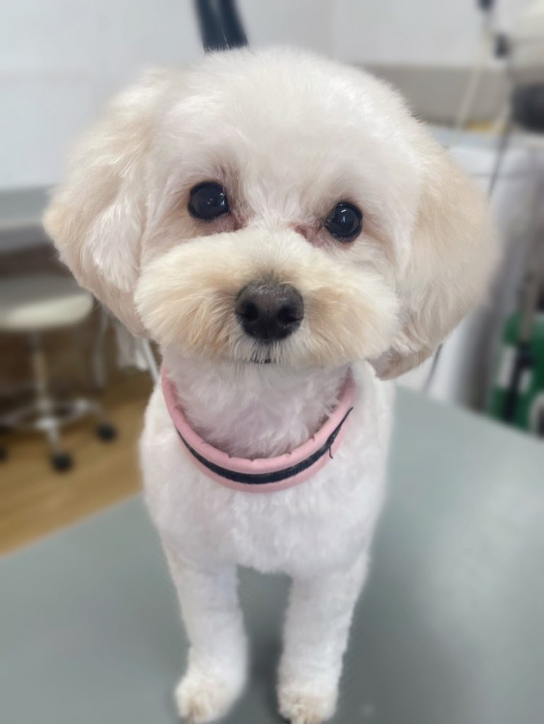 むぎちゃん