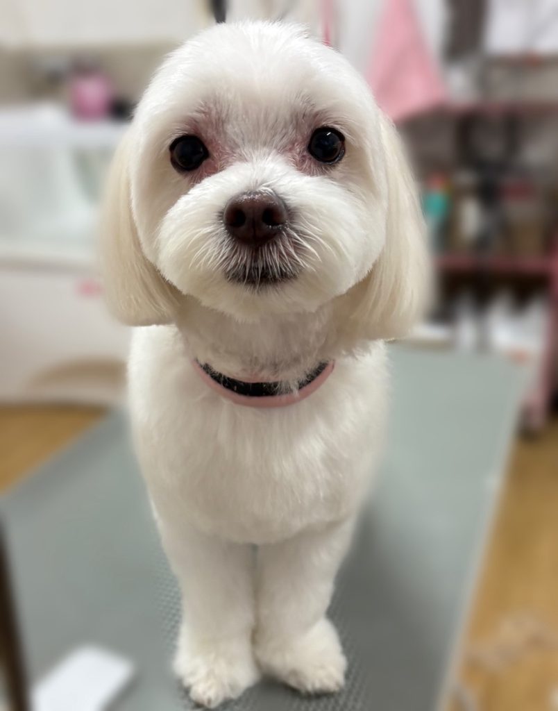 モアくん