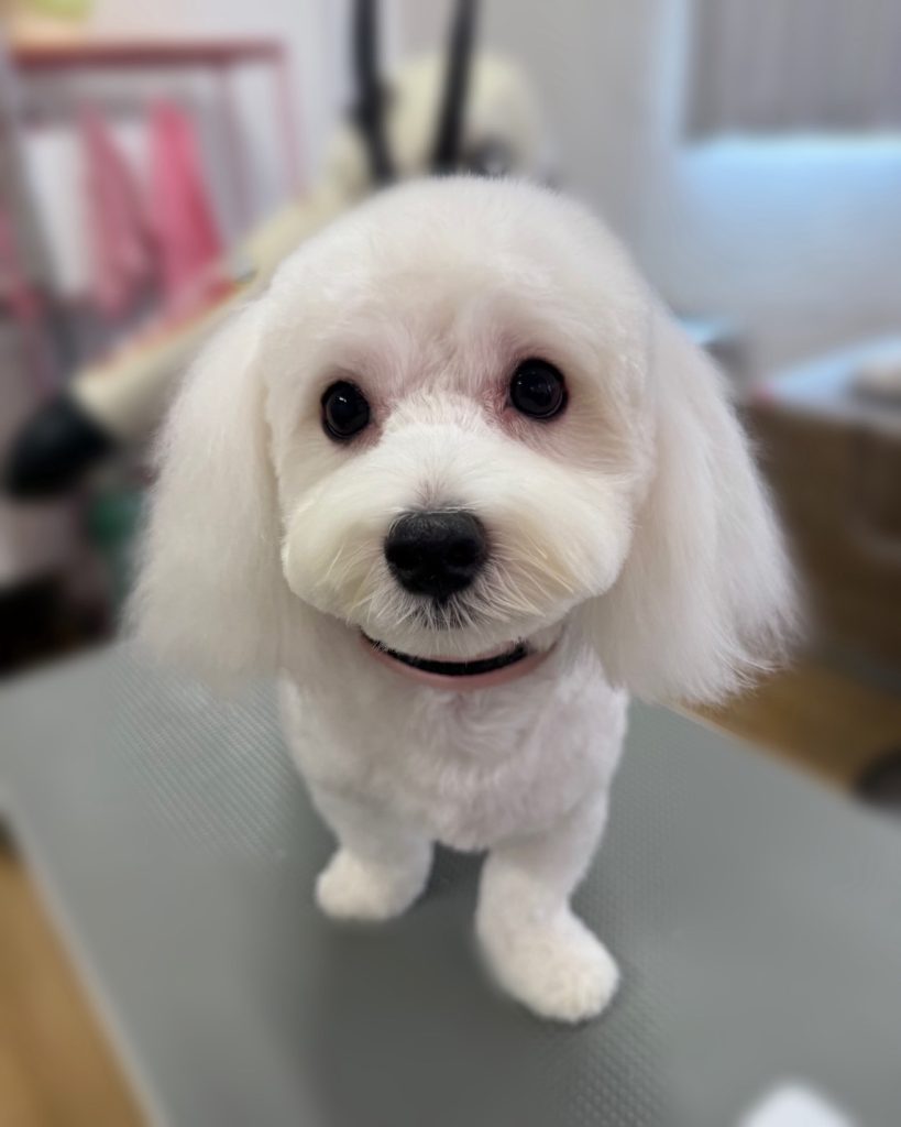 らむくん