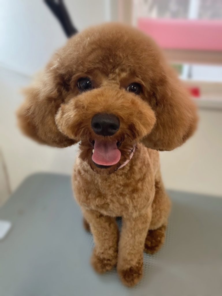 塁くん
