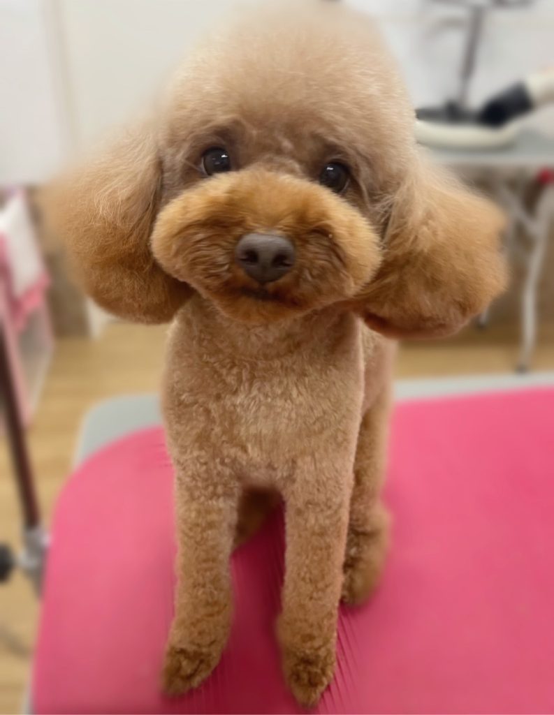心晴ちゃん