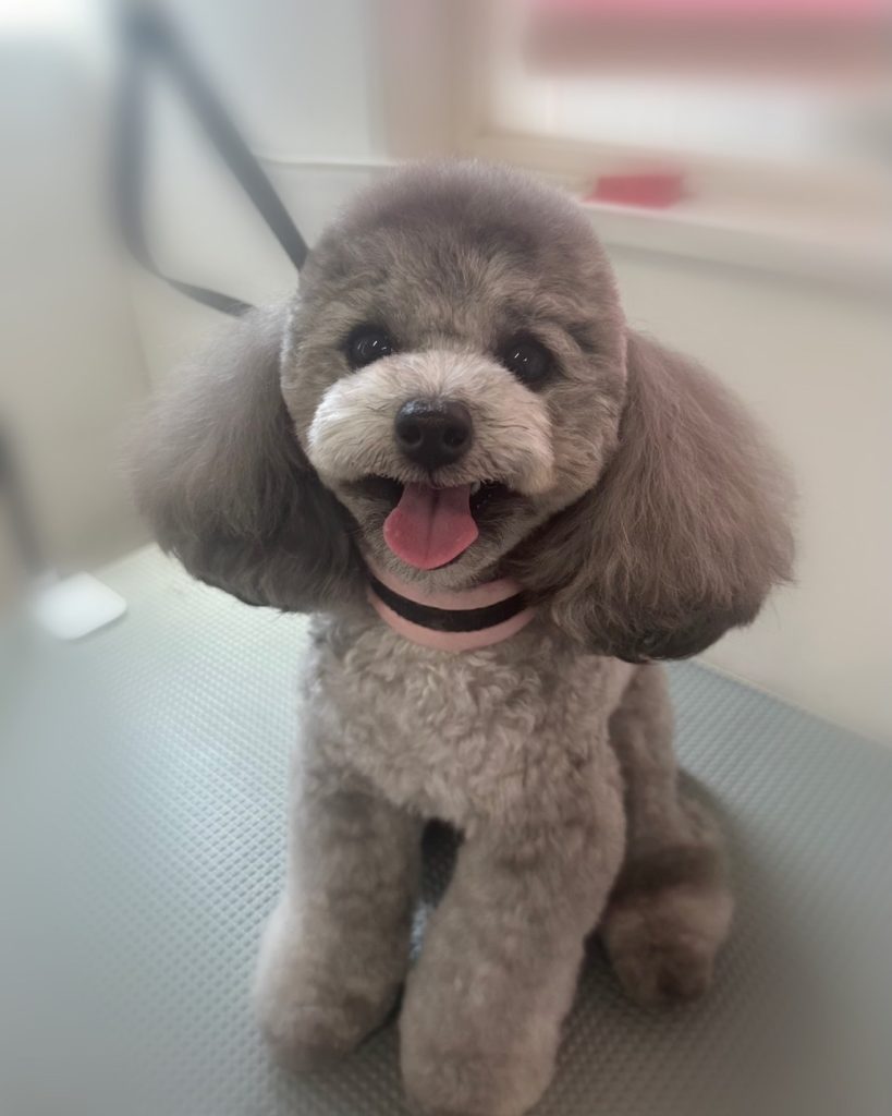 ライスちゃん