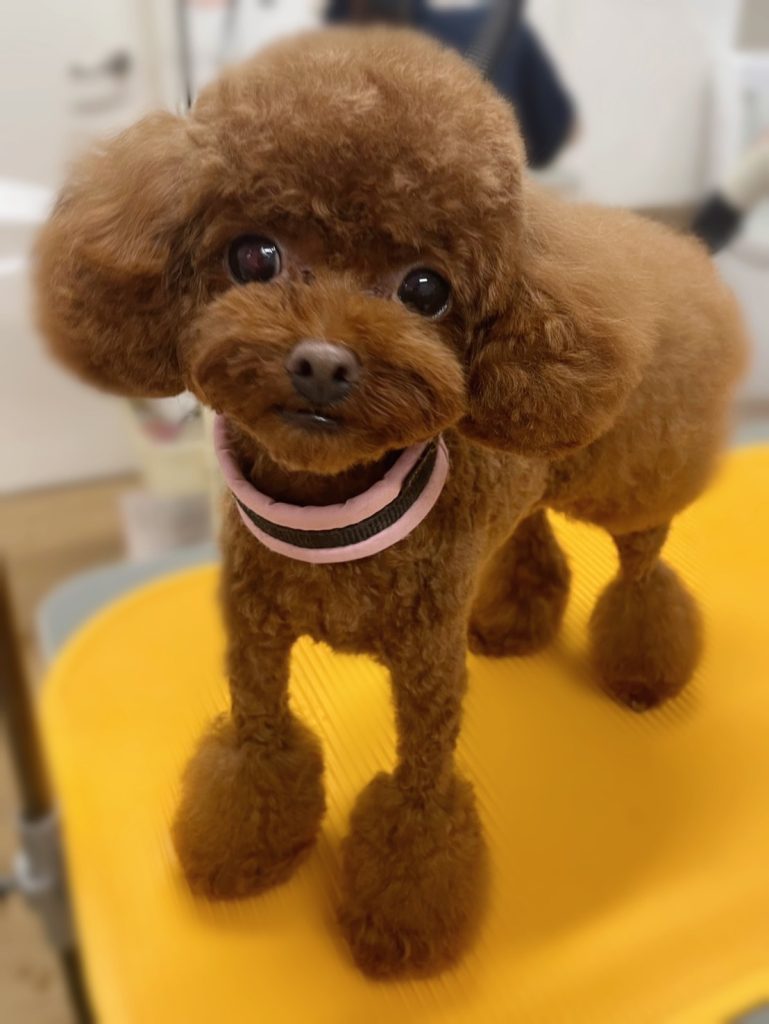 Ｕｒｕちゃん