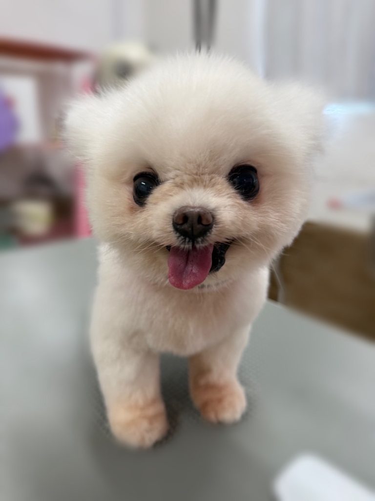 いぶくん