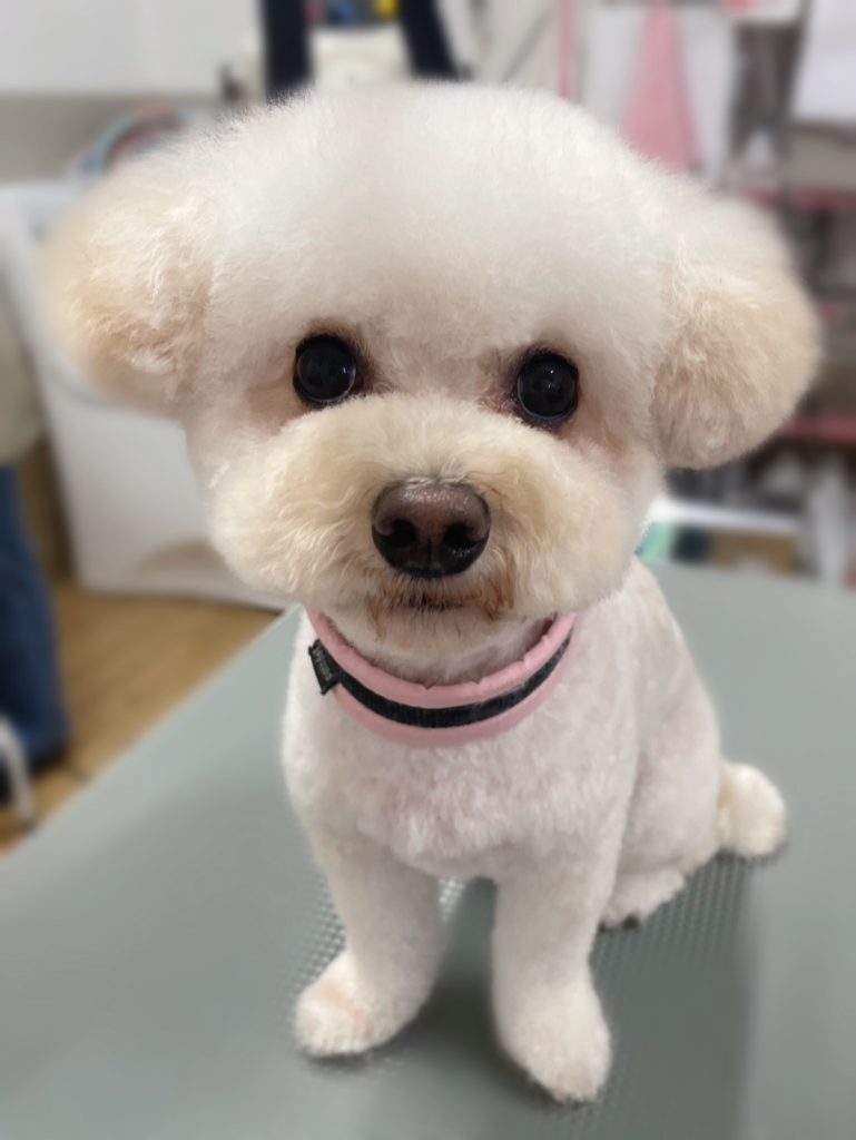 きゅーちゃん