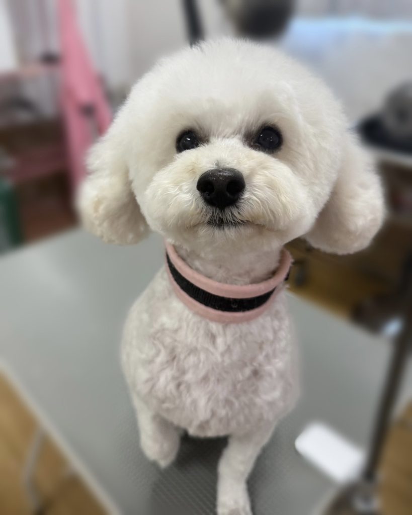 くむちゃん