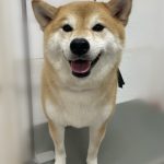 け3.jpeg