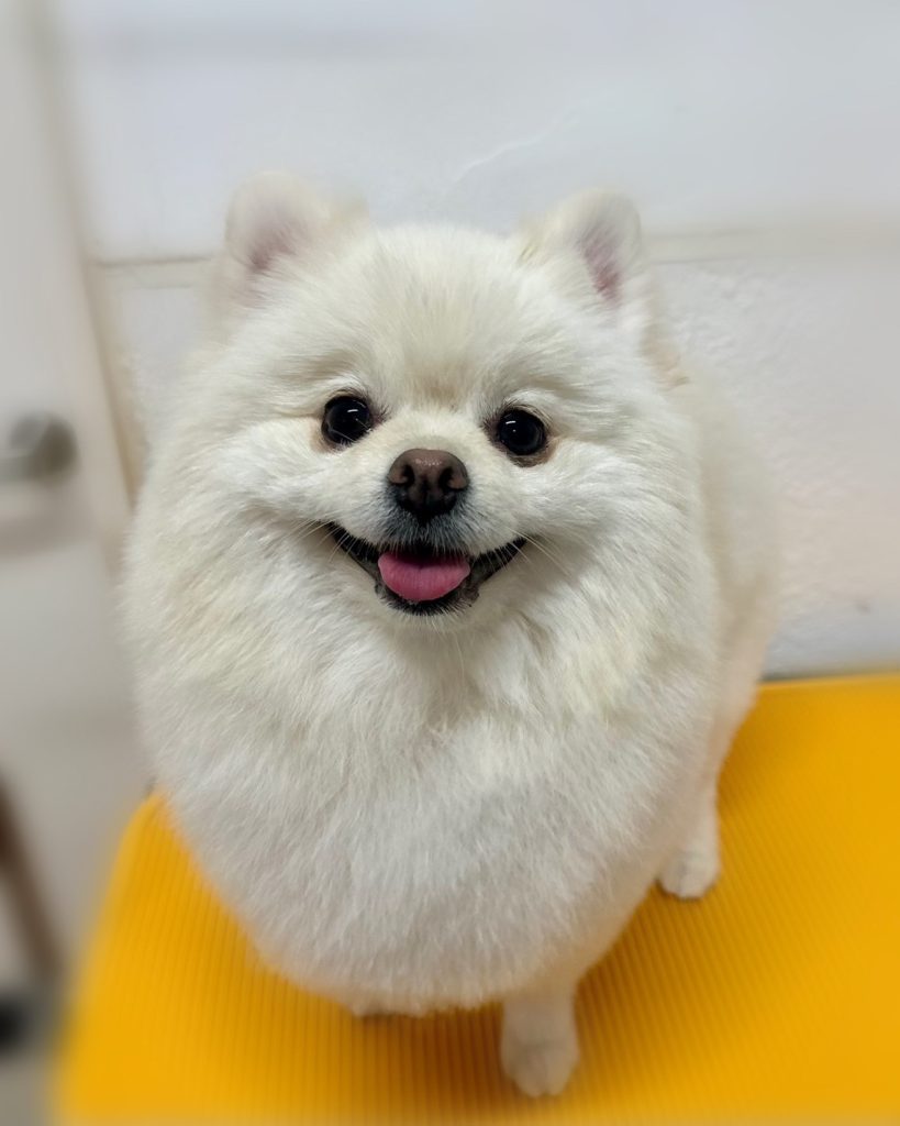 ジャーニーくん