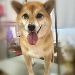 は3.jpeg