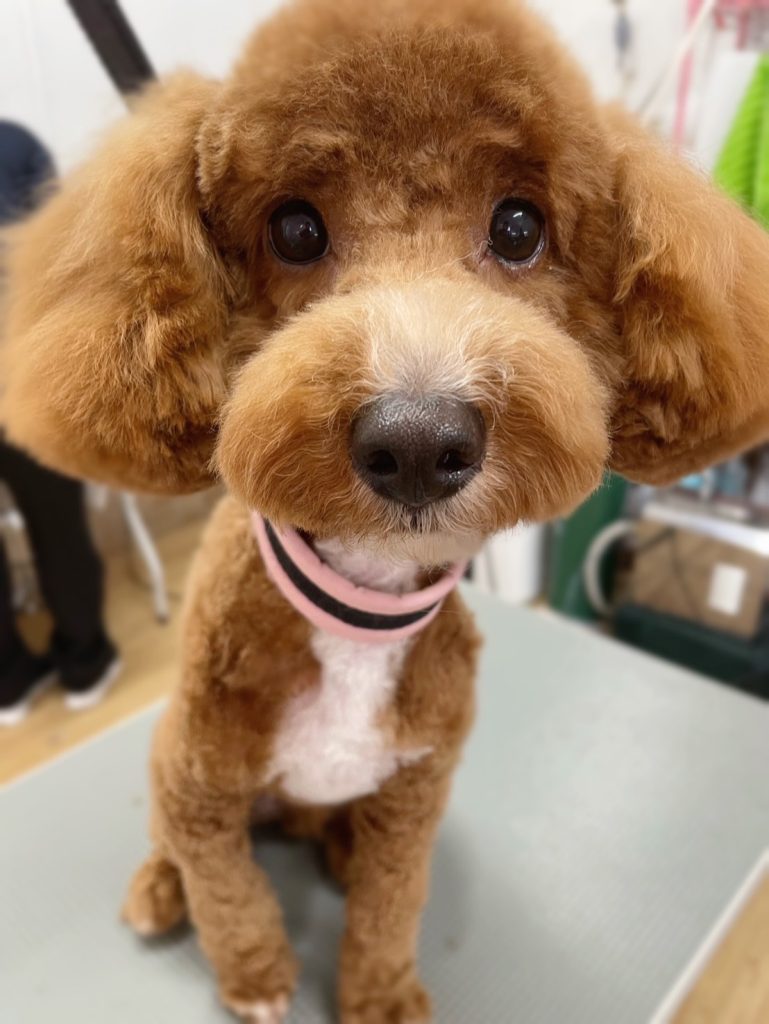 ぴっくくん