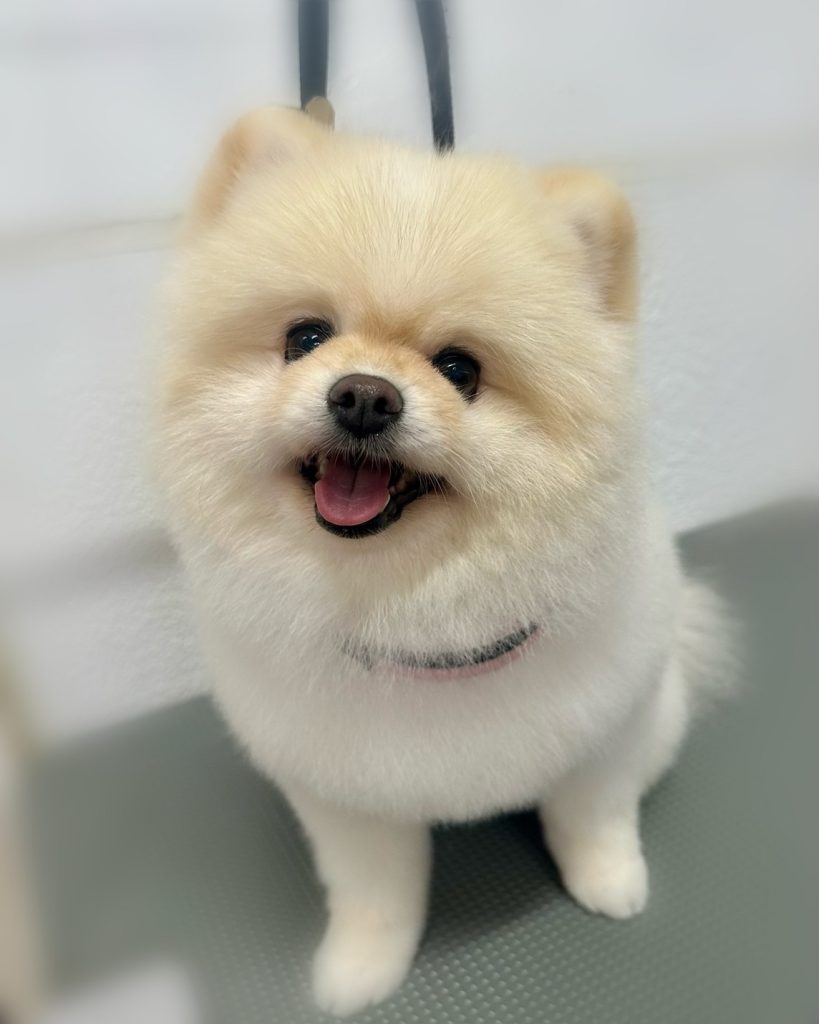まるちゃん