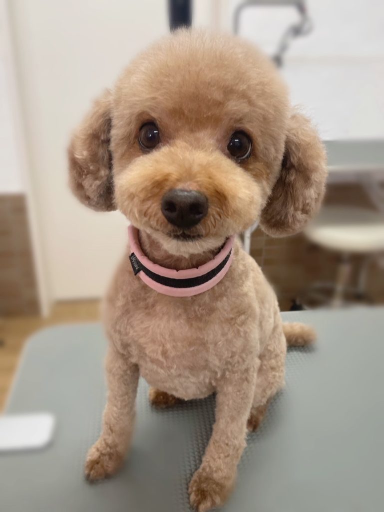 ミルクちゃん