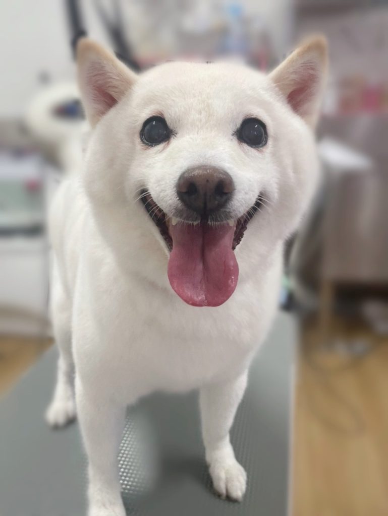 ゆばちゃん