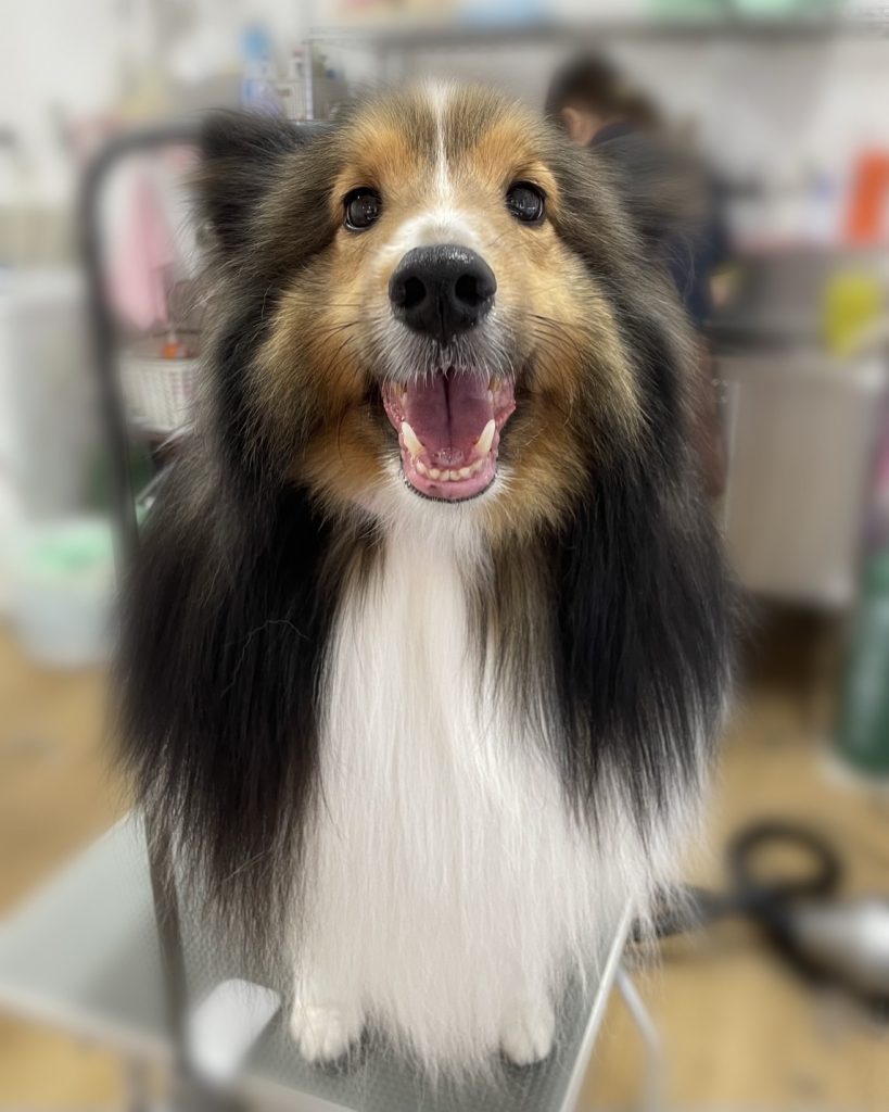 ルイくん