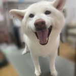 リ３.jpeg