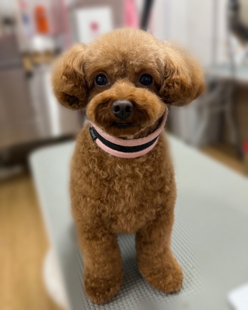 ＭＯＫＯちゃん