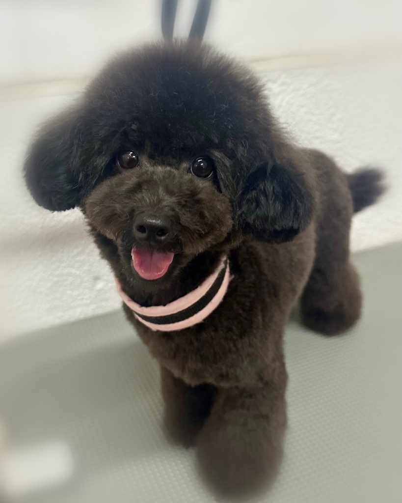 エマちゃん