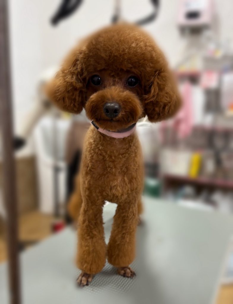 くるみちゃん