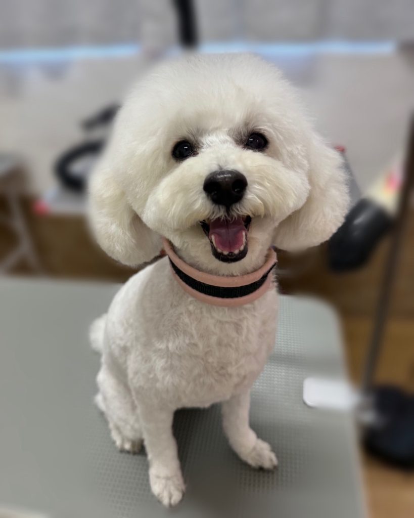 くむちゃん