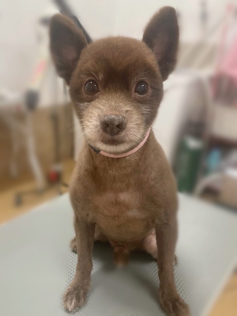 虎太郎くん